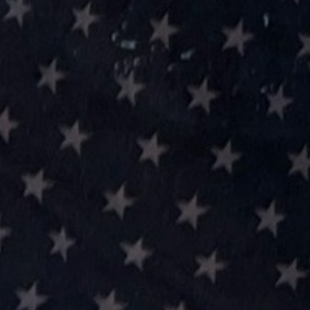 Chubbies Men’s Medium 5.5” Stars/American Flag - Picture 5 of 5